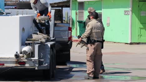 Freiwillige-Bringen-Gerettete-Kemp&#39;s-Ridley-Meeresschildkröten-In-Einen-Tragbaren-Tank,-Nachdem-Sie-Durch-Einen-Wintersturm-In-Der-Nähe-Von-Corpus-Christi,-Texas,-Erkältet-Waren