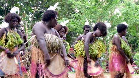 Colourful-Bougainville-sing-sing-dance-performance-by-Melanesian-women-with-traditional-bright-pink-fans-at-cultural-festival-in-AROB-Bougainville,-Papua-New-Guinea