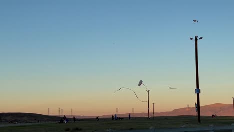 Actividad-Al-Aire-Libre-Socialmente-Distanciada