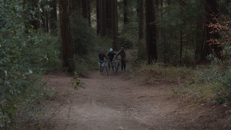 Ciclistas-Empujando-Bicicletas-De-Montaña-En-Una-Pista-Cuesta-Arriba-A-Través-Del-Bosque-Con-Pinos,-Plano-General