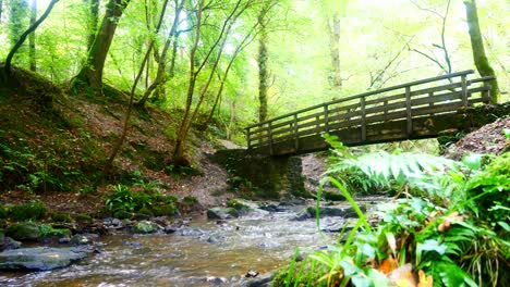 Hombres-Trotando-Sobre-El-Pintoresco-Puente-De-Troncos-En-Un-Exuberante-Bosque-Otoñal-Sendero-Natural-Cruce-De-Arroyos