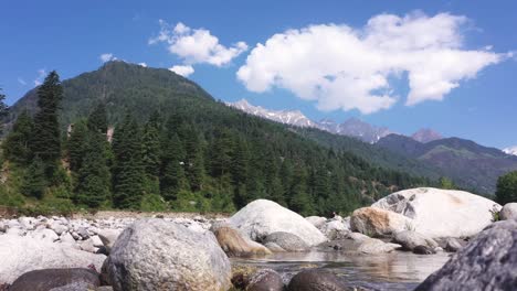 Aerial-shot-of-pine-tree-forest-with-mountain-and-water-stream-with-a-big-rock