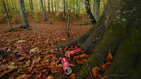 Latas-De-Refresco-Tiradas-En-La-Naturaleza,-Bosque-De-Gyllebo-En-Otoño,-Skåne-Suecia---Plano-General-Estático