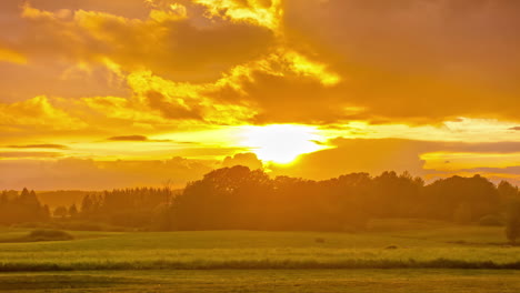 Mystic-golden-sunset-behind-scenic-forest-woodland-with-dynamic-clouds-at-sky---time-lapse-footage-in-4K