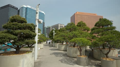 Peatones-De-La-Ciudad-De-Seúl-Caminando-Por-El-Parque-Linear-Seoullo-7017-Skygarden-Sobre-Las-Calles-De-La-Ciudad