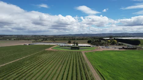 Drone-Volando-Sobre-La-Bodega-En-Un-Día-Soleado