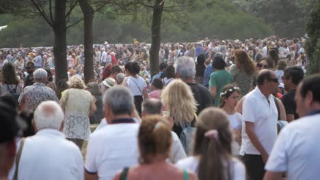 Eine-Große-Gruppe-Von-Menschen-Kam,-Um-Sich-Während-Des-Musikfestivals-Im-Stadtpark-Eine-Live-Aufführung-Anzusehen