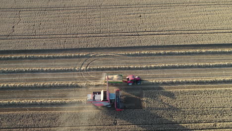 Vista-Aérea-De-La-Cosechadora-Que-Transfiere-El-Grano-Al-Vagón-De-Carro-Con-Tractor-En-El-Campo-Agrícola,-Disparo-De-Drones