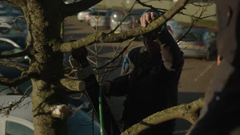 Hombre-En-Una-Escalera-Quitando-Una-Rama-De-Un-árbol-Mientras-Su-Compañero-De-Trabajo-La-Toma-Con-Seguridad