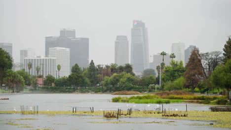 Eine-Totalaufnahme-Der-Skyline-Der-Innenstadt-Von-La-Bei-Starkem-Regen-Vom-Echo-Park-Lake