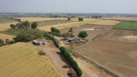 Toma-Aérea-De-Drones-Volando-Sobre-Un-Campo-De-Trigo-Dorado-Maduro-Junto-A-Casas-De-Pueblo-Durante-El-Día