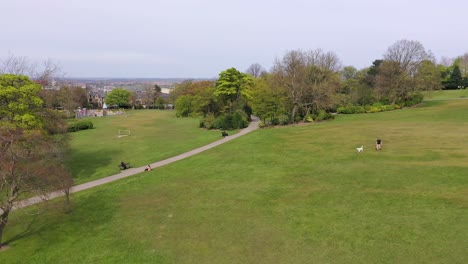 Glückselige-Hundespaziergänge-Im-Locke-Park-Barnsley-Aerial