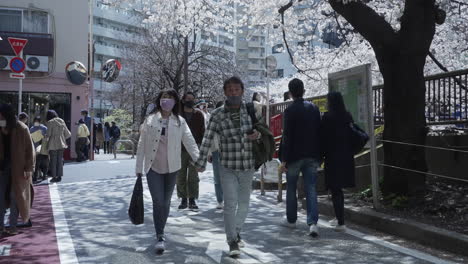 Personas-Con-Máscaras-Durante-El-Hanami-Durante-La-Pandemia-En-Tokio,-Japón