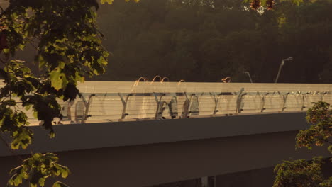 Medium-backlit-wide-shot-of-people-walking-across-the-glass-bridge-in-Kiev-framed-by-of-branches-of-tree