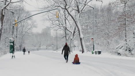 Mann-Zieht-Jungen-Auf-Schlitten-Im-Central-Park-New-York-City-Bei-Schneefall