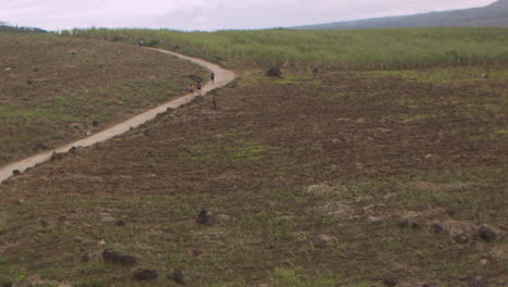 Los-Lugareños-Usan-El-Camino-En-Las-Montañas-Remotas-Plagadas-De-Plantaciones-De-Caña-De-Azúcar