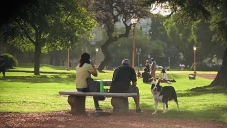 Pareja-Con-Su-Perro-Border-Collie-En-El-Parque-Bebiendo-Té-Mate