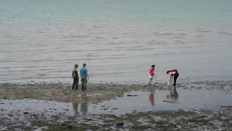 Gruppe-Von-Menschen,-Die-Den-Strand-Am-Changi-Beach,-Singapur,-Reinigen