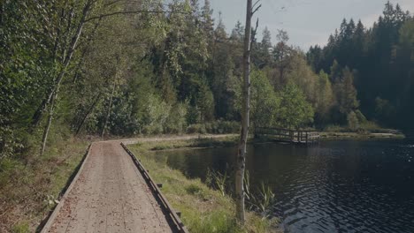 Punto-De-Vista-Caminando-Por-Un-Sendero-De-Madera-Junto-Al-Lago-Kypesjön-En-Borås-Suecia---Toma-Amplia-Siguiendo-Hacia-Adelante