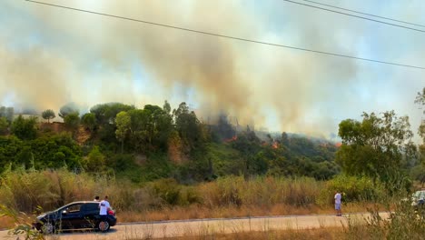 Big-dangerous-fire-and-smoke-clouds-in-Andalusia-region-Spain,-windy-weather,-burning-trees-and-houses-in-Estepona-Marbella,-4K-static-shot