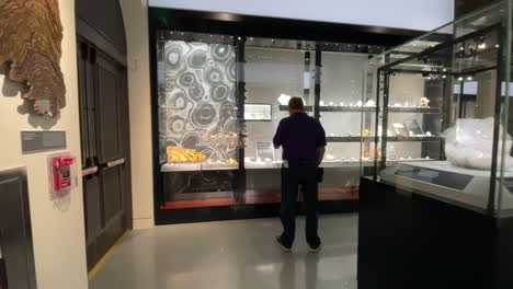 Back-View-Of-Adult-Man-Looking-At-Display-During-Tucson-Gem-Show-Event