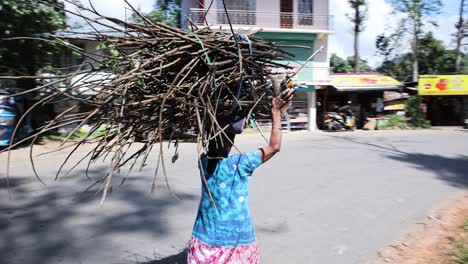 Toma-En-Cámara-Lenta-De-Una-Anciana-Fuerte-Local-Caminando-Con-Su-Perro-En-La-Calle-Sosteniendo-Sobre-Su-Cabeza-Un-Manojo-De-Ramitas,-Mirissa-Sri-Lanka