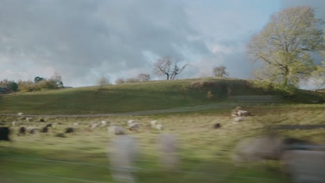 Passing-By-Properties-in-Österlen-in-South-Sweden-Skåne-in-Autumn---Tracking-Wide-Shot-From-Right-To-Left