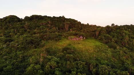 Aerial-Shot-of-People-Watching-Sunrise-on-Island-in-Florianopolis,-Brazil