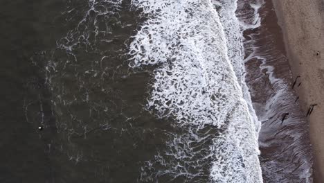 Surfer-paddling-at-sea,-shot-from-birds-eye-view