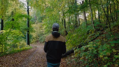 Der-Auf-Entdeckungstour-Gehende-Große-Mann-Springt-Auf-Einen-Baumstamm-Und-Schaut-Sich-Im-Wunderschönen-Herbstwald-In-Gyllebo,-Österlen,-Schweden-Um-–-Mittlere-Bis-Weit-Entfernte-Aufnahme-Von-Hinten