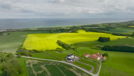 Vista-Aérea-Del-Paisaje-Rural-De-Europien,-En-Medio-De-Campos-Verdes,-Agricultores-Que-Cultivan-Grandes-Semillas-Oleaginosas-De-Flor-Amarilla