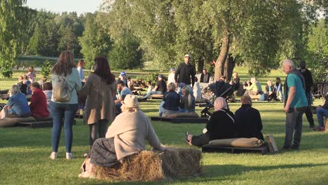 Festival-De-Verano-En-El-Parque-De-La-Ciudad