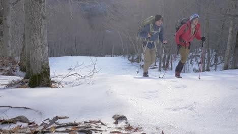 Dos-Hombres-Caminando-Por-Una-Empinada-Pendiente-Nevada-En-El-Bosque-En-Invierno-Con-Bastones-De-Trekking,-Cámara-Lenta