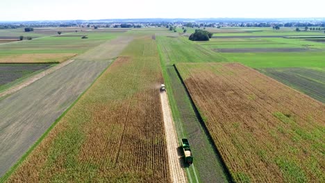 4K-Aerial-slow-motion-shot-of-corn-being-harvested-by-big-combine-harvester-at-noon-on-agricultural-fields-in-Bavaria,-Germany