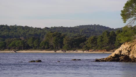 Crowd-of-people-hiking-on-path-along-the-mediterranean-sea-called-"sentier-littoral"-or-"sentier-des-douaniers"