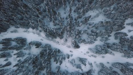 Flying-over-two-cars-on-the-winter