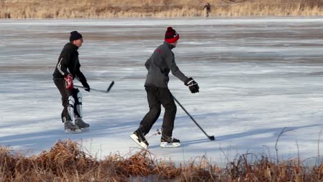 Weitwinkel-Folgeaufnahme-Von-Freunden,-Die-Teichhockey-Spielen