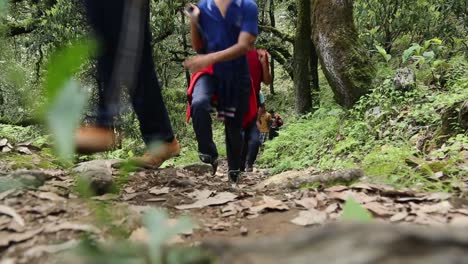 Excursionistas-De-Montaña-En-Su-Camino-Al-Sendero,-Pasando-Por-Caminos-Del-Himalaya,-Colinas,-Selvas