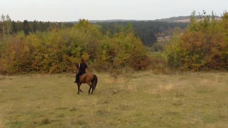 Low-aerial-tracking-shot-of-girl-ride-horse-in-grass-field