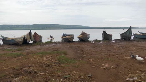 Una-Fila-De-Canoas-De-Pesca-Tradicionales-De-Madera-A-Orillas-Del-Lago-Victoria-Con-Una-Niña-Recogiendo-Agua-Y-Patos-Caminando