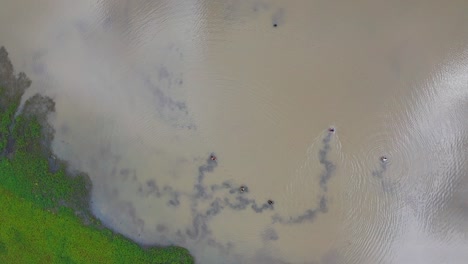 Aerial-view-across-group-of-men-adjusting-nets-in-tropical-lagoon-water