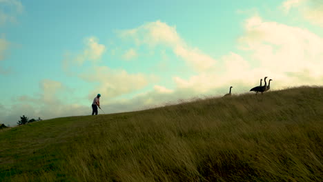 Golfista-Balanceándose-En-El-Campo-De-Golf-De-Bandon-En-Oregon,-Cuatro-Gansos-De-Canadá-Alejándose-De-él,-Pintoresco-Y-Hermoso-Cielo-Y-Nubes