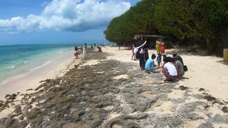 Touristen-Am-Kaiji-Strand-Auf-Der-Suche-Nach-Sternförmigem-Sand-An-Einem-Sonnigen-Tag