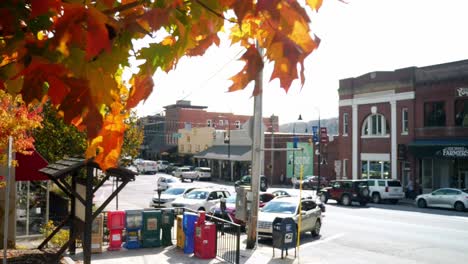 Hojas-De-Otoño-Con-El-Centro-De-Boone-En-Segundo-Plano.