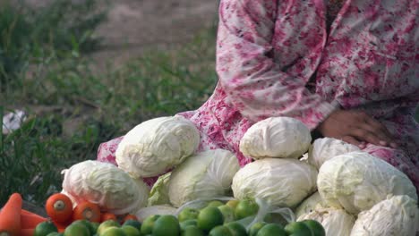 Close-Cabbage-Seller-Quick-Cleaning-Knife