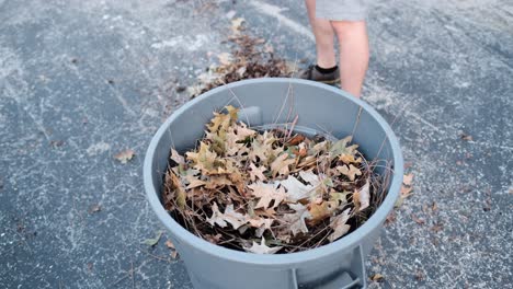 Mann-Harkt-Blätter-Von-Der-Einfahrt-Und-Wirft-Sie-In-Einen-Plastikmülleimer