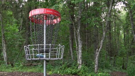 Disc-golf-basket-in-forest