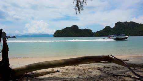 Paseo-En-Bote-Hacia-El-Bosque-De-Manglares-En-La-Playa-De-Tanjung-Rhu-Con-Un-árbol-Caído-En-Primer-Plano