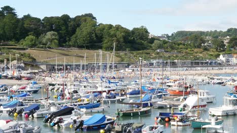 Ein-Geschäftiger-Hafen-Und-Strand-In-Lyme-Regis