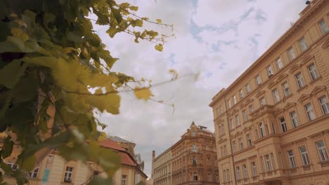 Vista-Inclinada-Hacia-Arriba-Junto-A-Ramas-Que-Se-Mecen-En-El-Viento-Cerca-De-Apartamentos-Residenciales-En-Praga